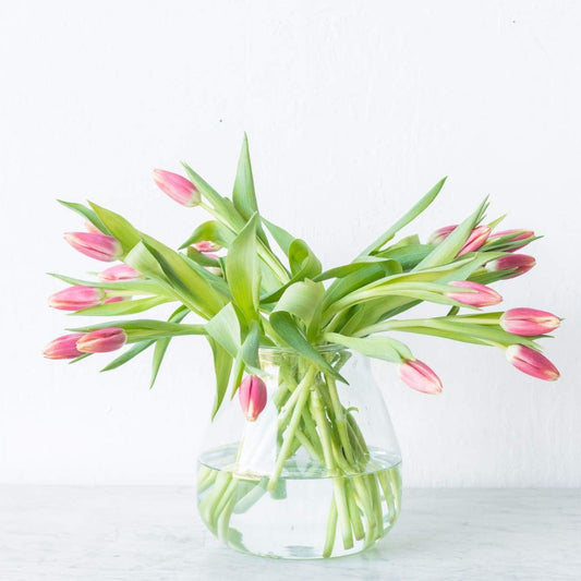 Baby Bulb Pickling Jar