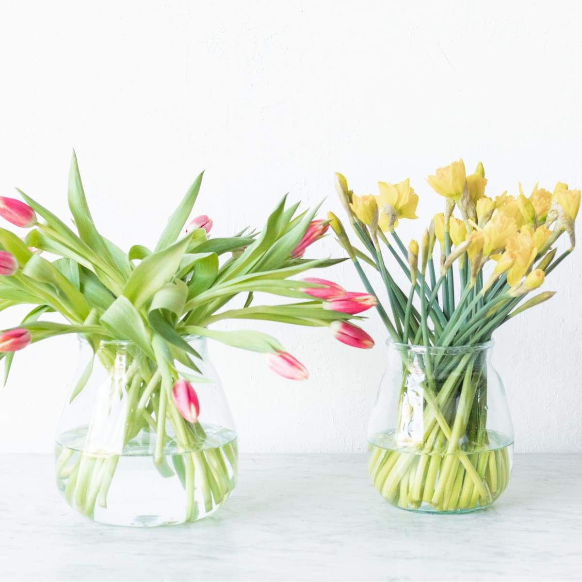 Baby Bulb Pickling Jar