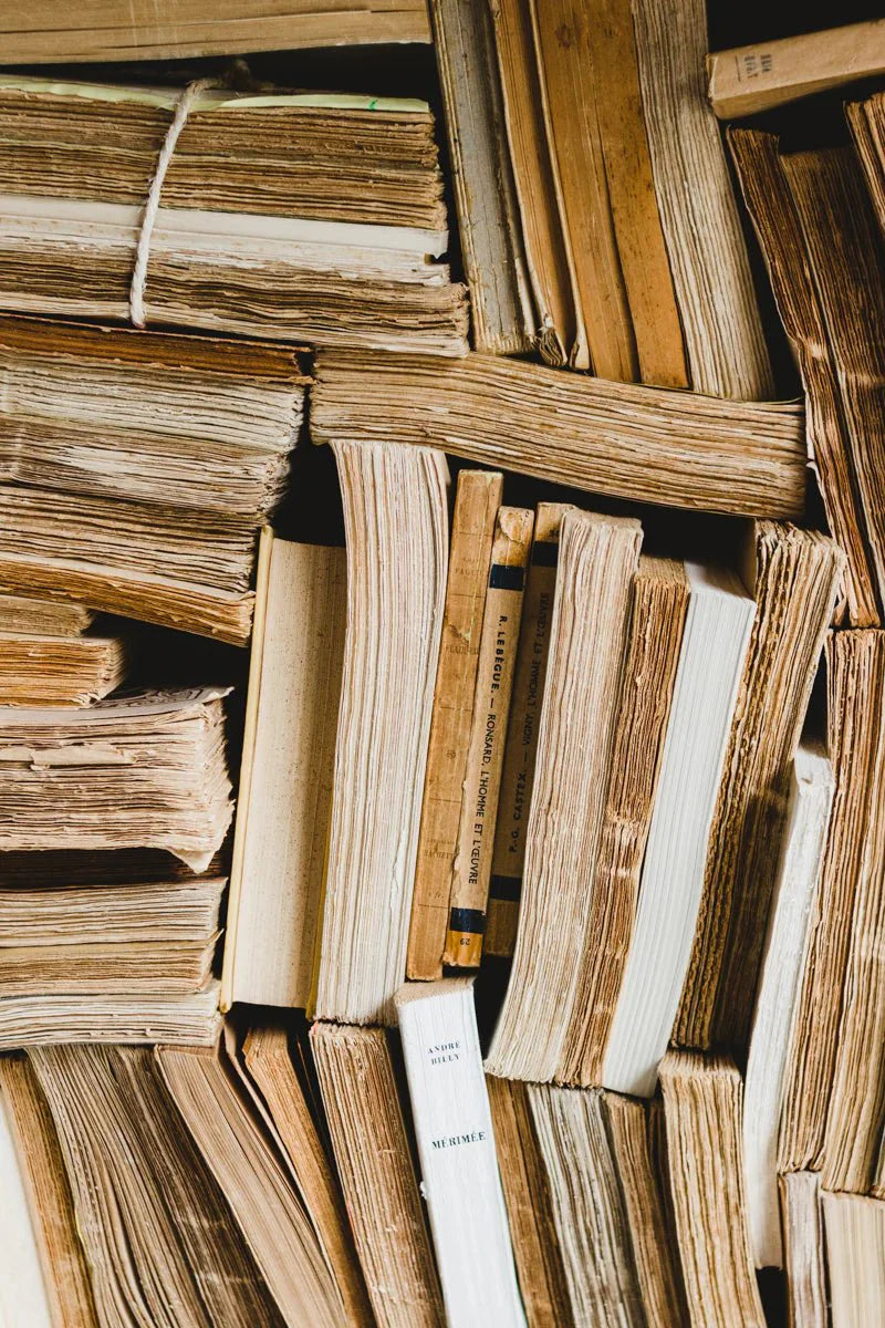 Vintage French Book Set of 4