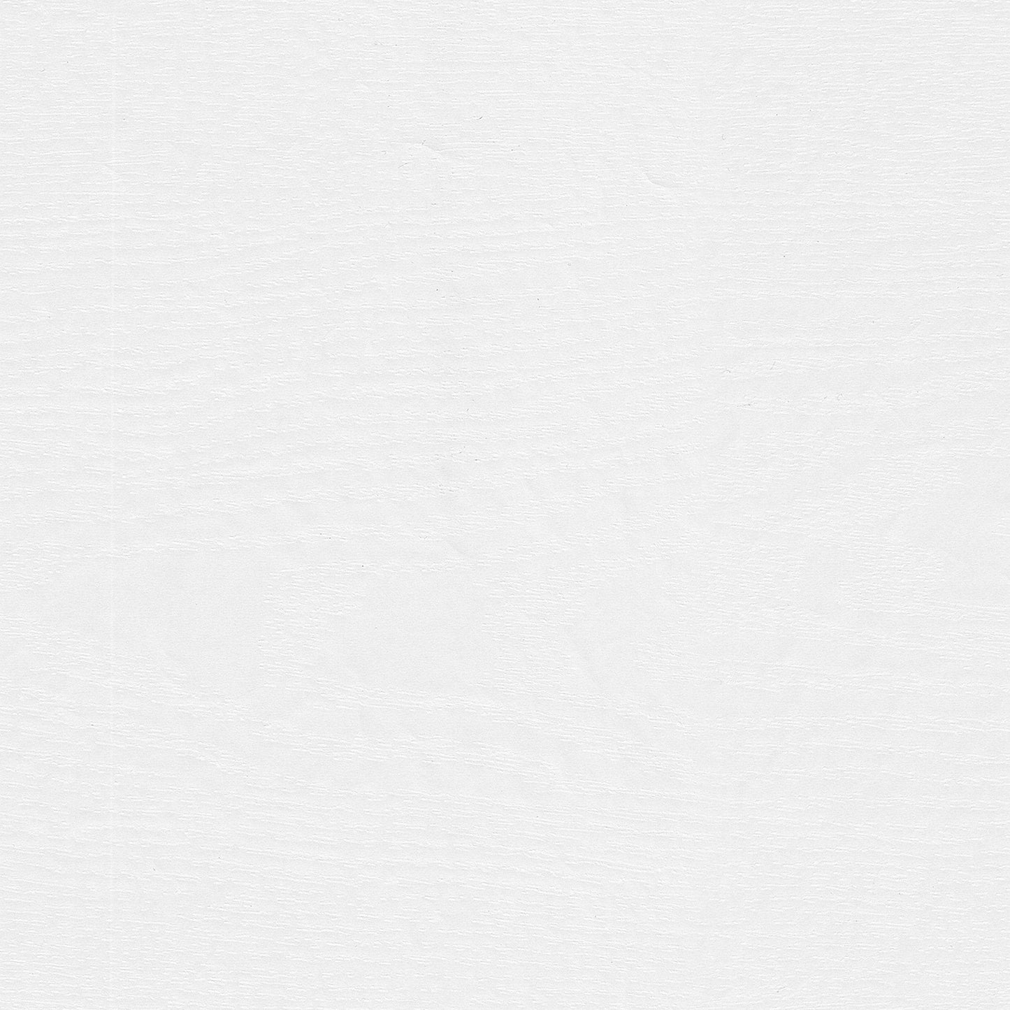 Woodland 40W Wall Mounted Coat Rack with Shelf by Bush Furniture