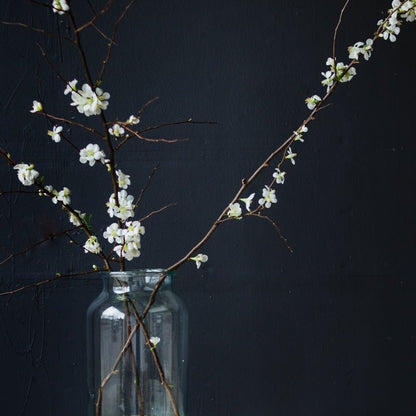 Blown Glass Pickling Jar