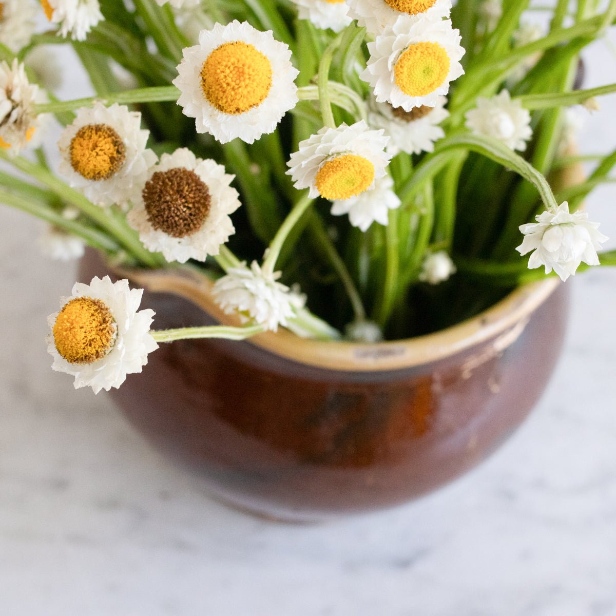 Provencal Cream Pitcher