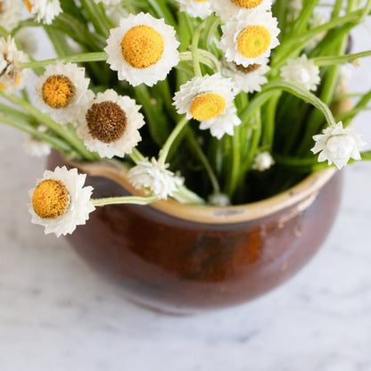 Provencal Cream Pitcher