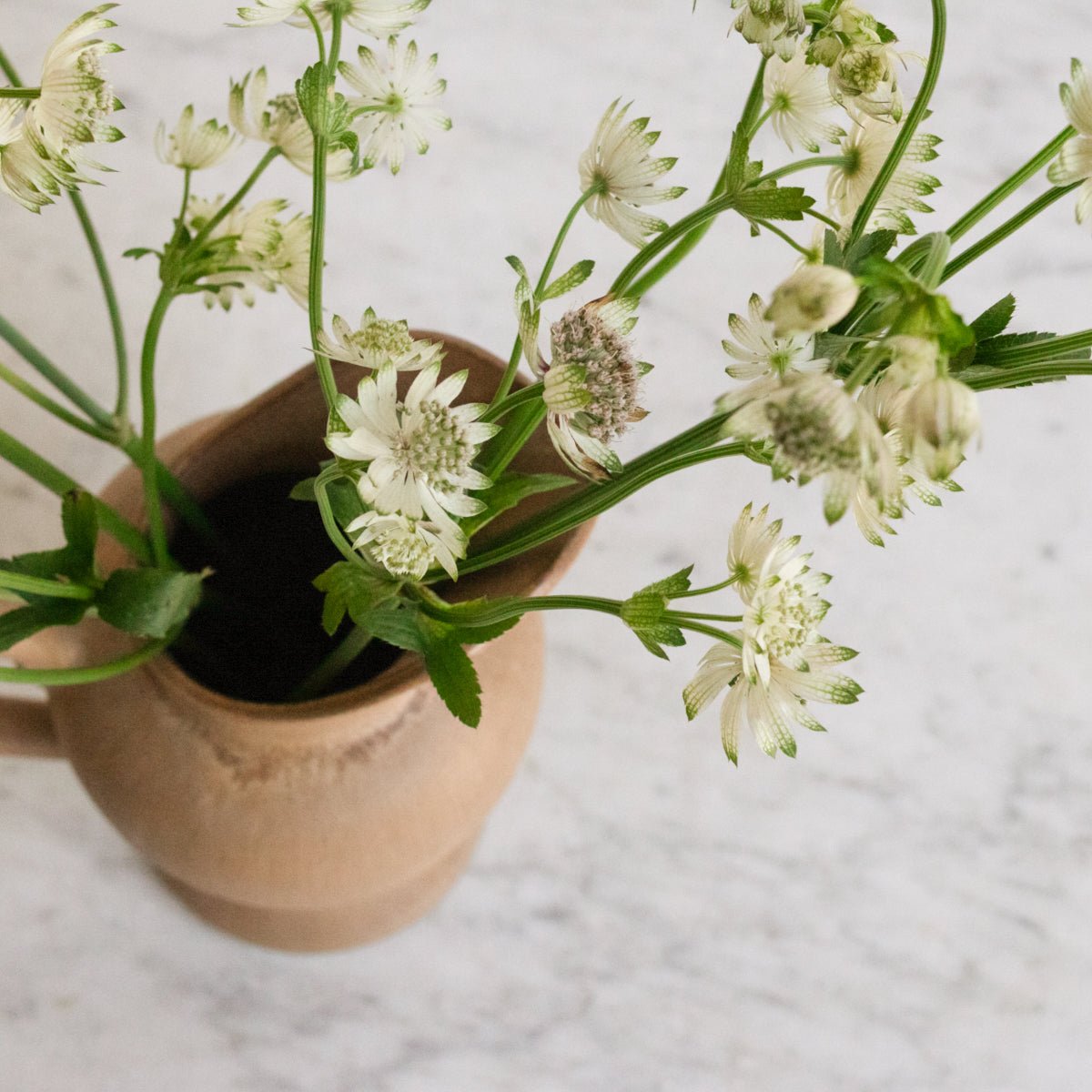 RhodaCeram Stoneware Pitcher