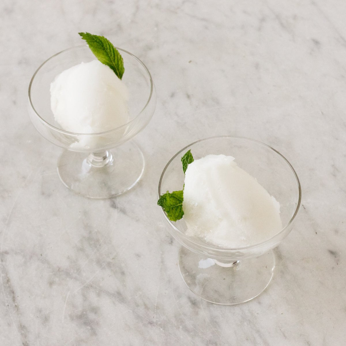 Simple Dessert Coupe Set of 5