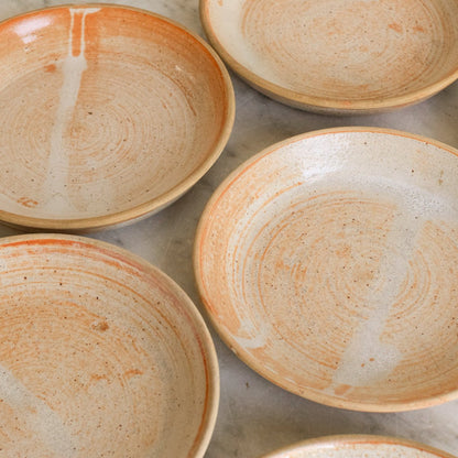 Stoneware Plate Set of 6