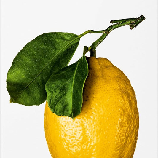 The Gourmand's Lemon: A Collection of Stories and Recipes