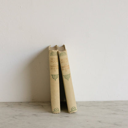 Victor Hugo Volumes