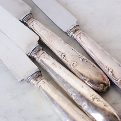 Vintage French Dinner Knife Set of 12