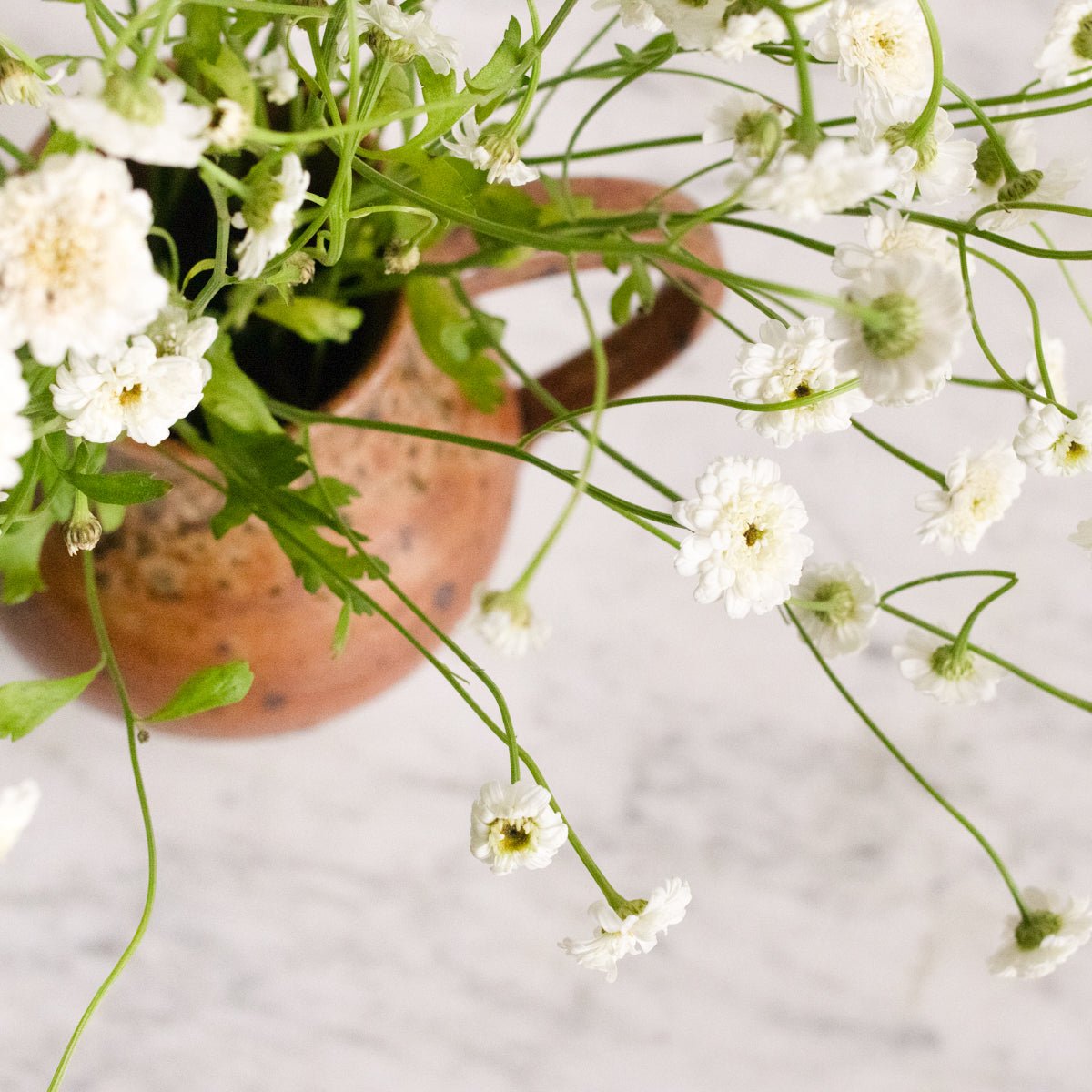 Vintage Stoneware Pitcher | Signed by Artist